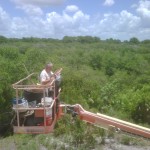 IMG00346 20100625 1355