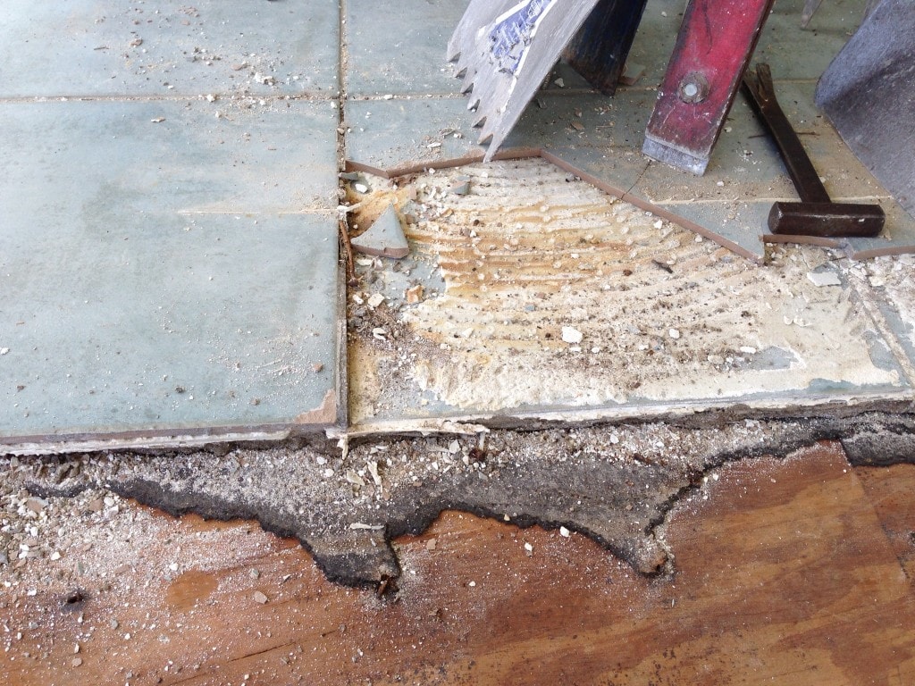 In Which Mann Tile Comes to the Rescue 57 IMG 0299