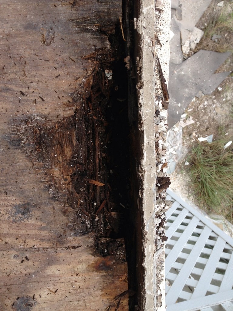 In Which Mann Tile Comes to the Rescue 11 IMG_0309