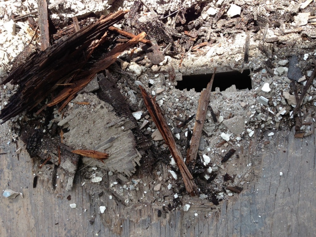 In Which Mann Tile Comes to the Rescue 9 IMG_5545