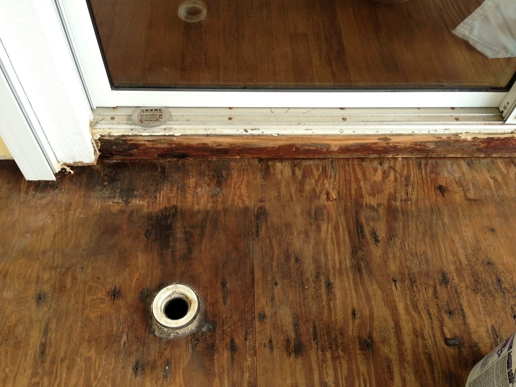 In Which Mann Tile Comes to the Rescue 12 IMG_5546