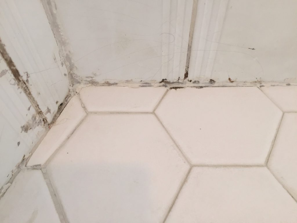 Mold in the corners, evidence of failure.