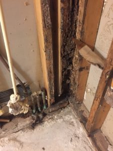 Water Damage in Shower