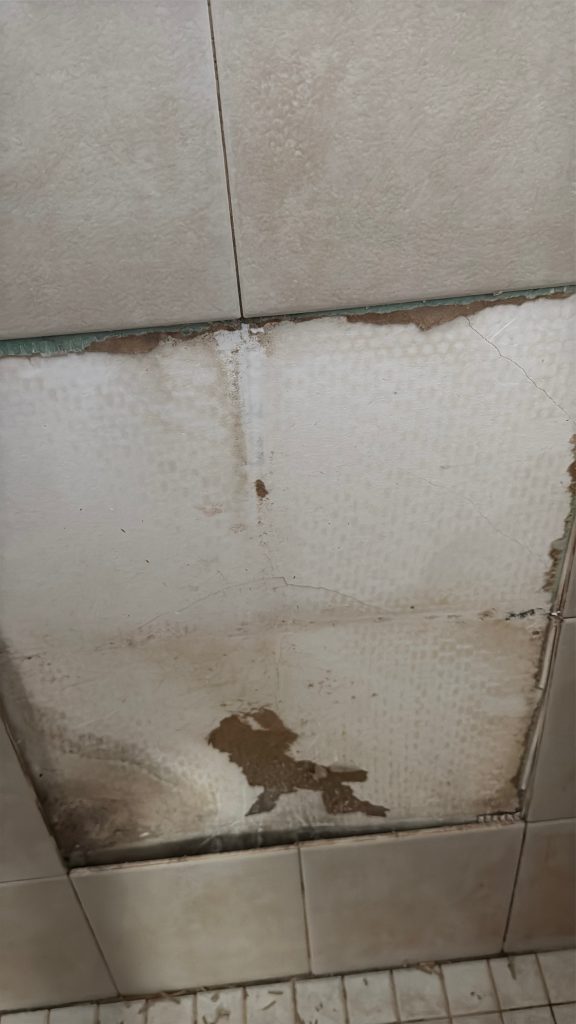 shower failure can be dangerous