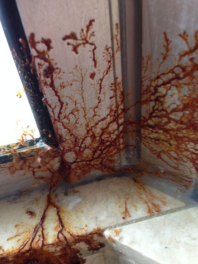 "Help! there's some WEIRD STUFF growing behind my shower!" - Why waterproofing is crucial. 1 fungus growing in a shower