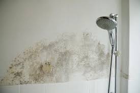 How Do You Stop Shower Mold? - Don't use your shower - Unless it's waterproofed with Schluter. 1 mold in shower